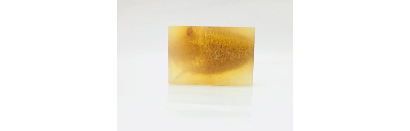 HANDMADE ORGANIC LOOFAH WITH GLYCERINE SOAP.